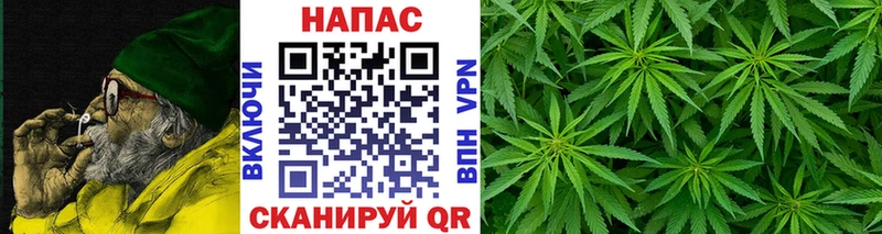 Марихуана семена Мытищи